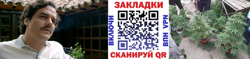 Где купить наркотики Нижнекамск COCAIN Конопля APVP ГАШИШ МЕФ