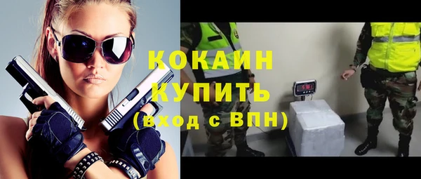 соль ск Алексин