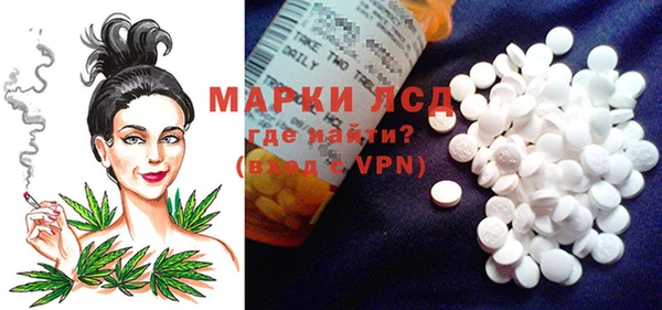 гашик Алексеевка