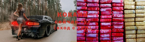 соль ск Алексин