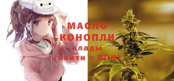 гашик Алексеевка