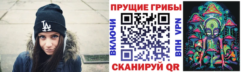 Псилоцибиновые грибы мицелий Нижнекамск